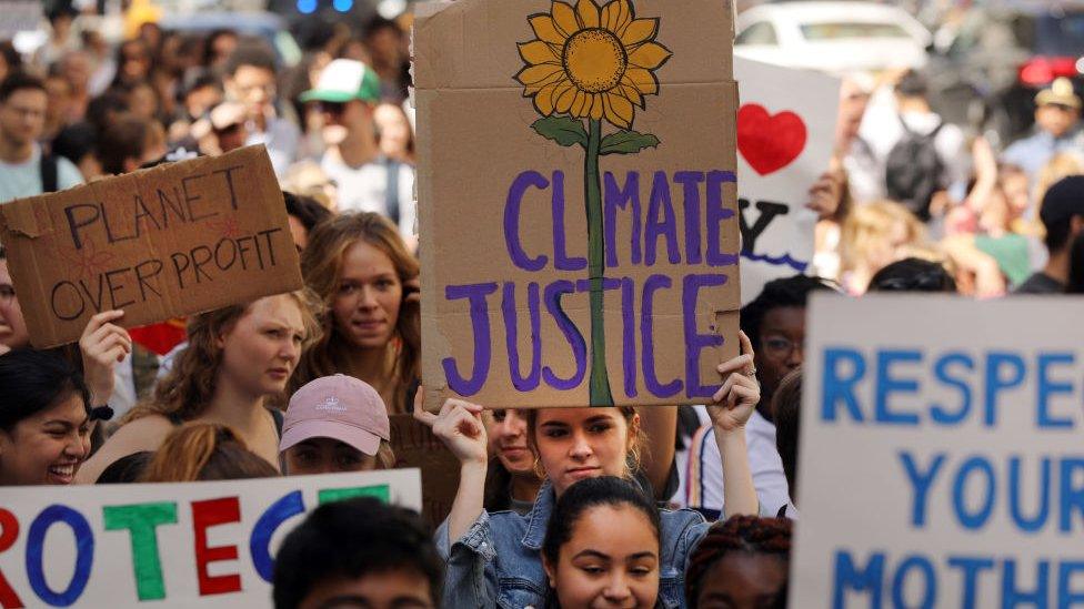 climate protest.