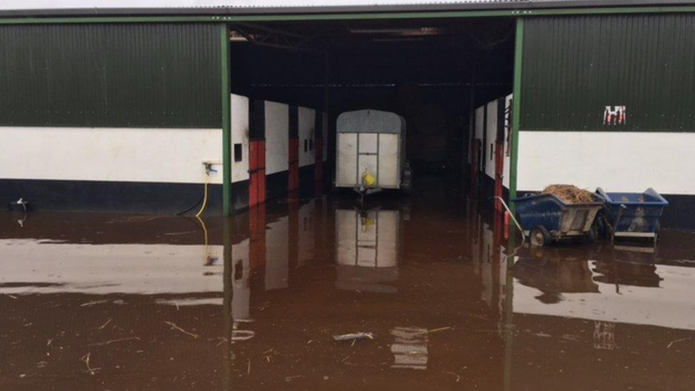 Thomas Cleary said there was now about two feet of water at his stables in County Westmeath