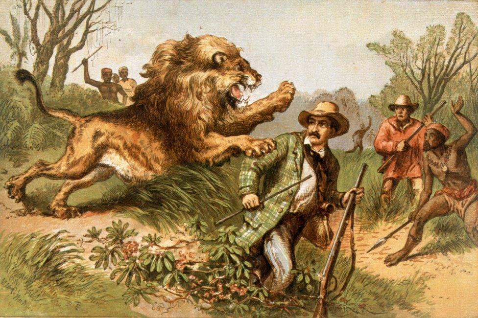 An illustration from circa 1850 showing David Livingstone being attacked by a lion