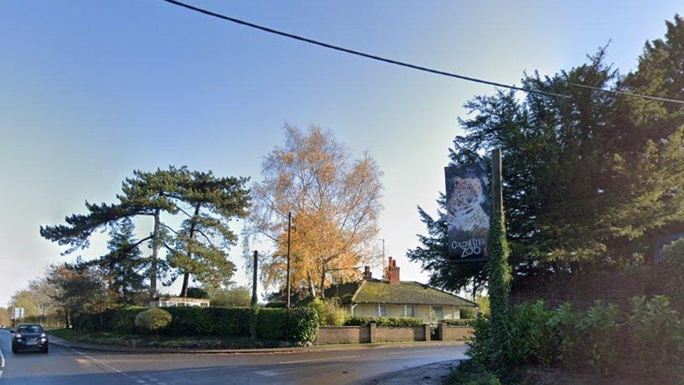 Zoo entrance with Colchester Zoo sign, road into zoo and several trees