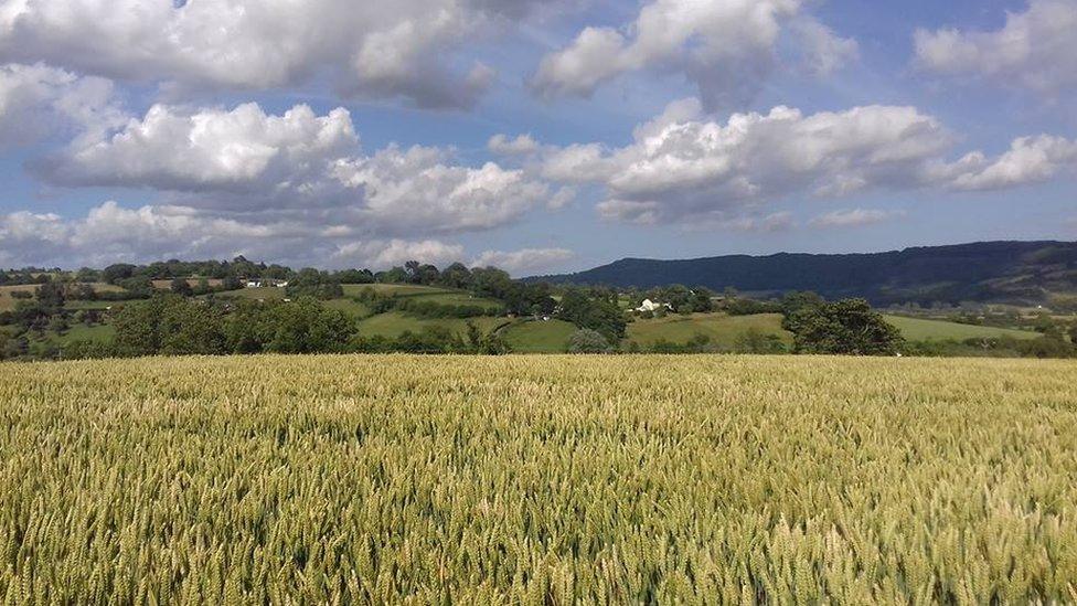 The walk between Caerleon and Usk