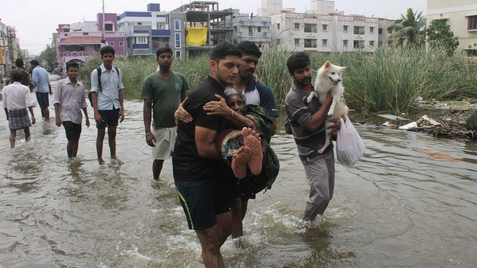 A woman and a dog are rescued from flood waters in Chennai