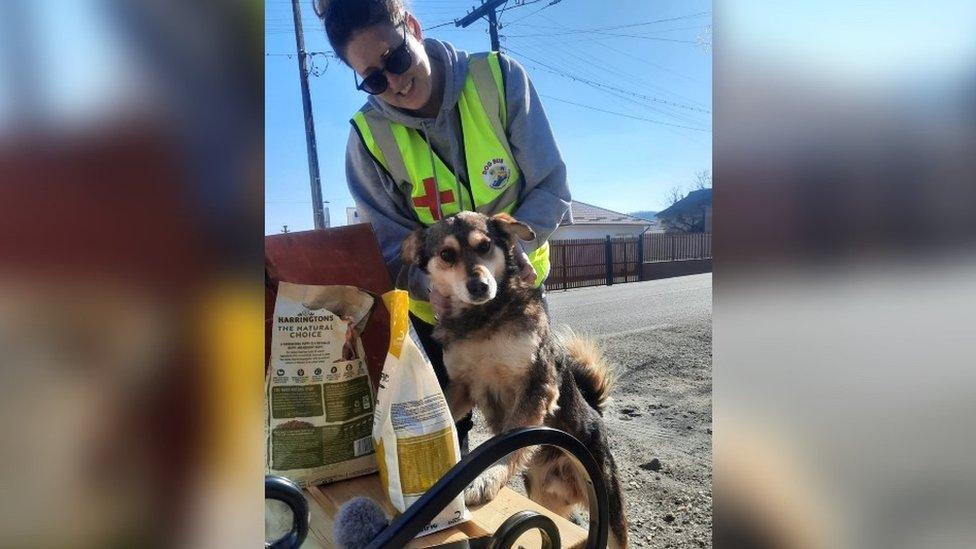 A volunteer holding a dog