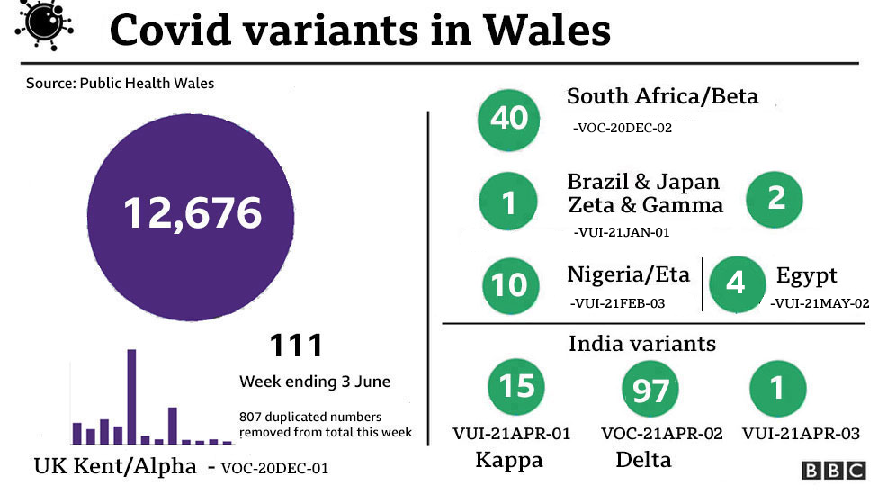 Graphic showing the variants