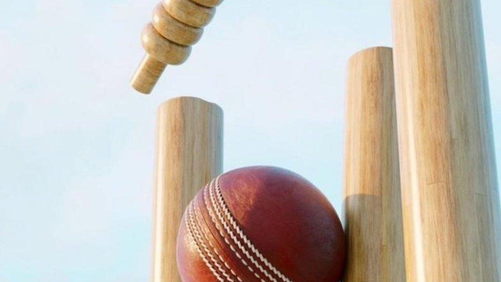 Cricket ball and wicket