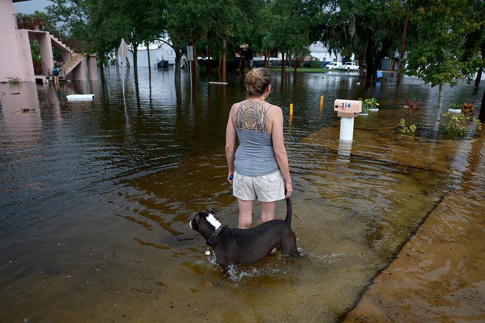 A woman and her dog Brandon look out at the flood waters from Hurricane Idalia surrounding their house on August 30, 2023 in Tarpon Springs, Florida