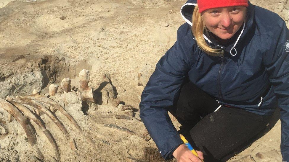 Archaeologist excavates whale bones