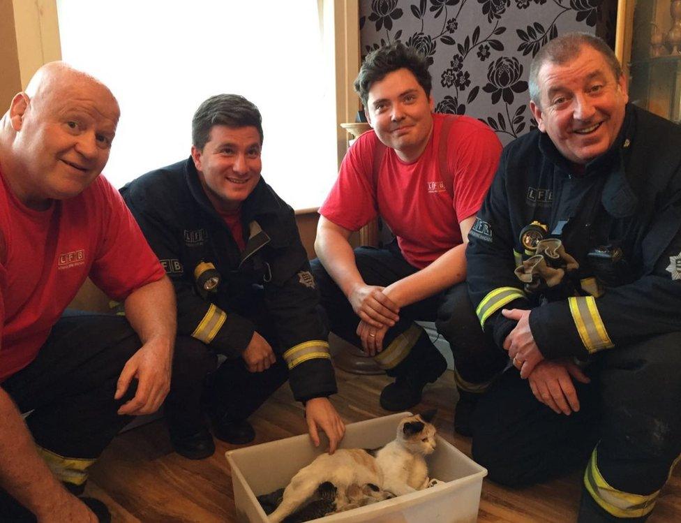 Binky the cat with her rescuers from the fire brigade