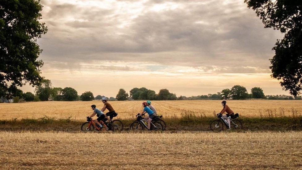 Five riders cycle past the sun blasted fields in Norfolk on the Rebellion Way