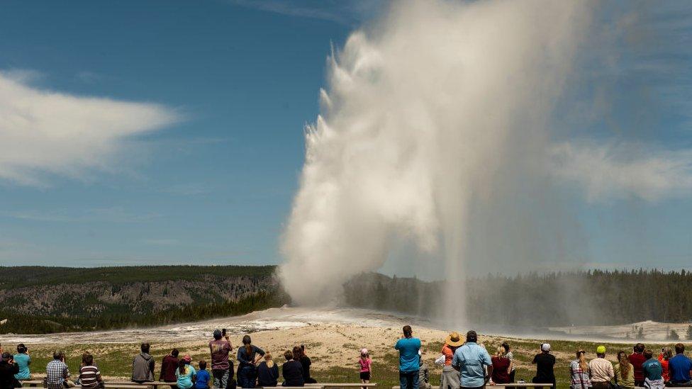yellowstone national park