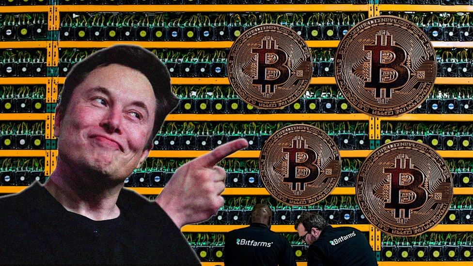 Bitcoin: The Digital Gold Rush That Never Sleeps