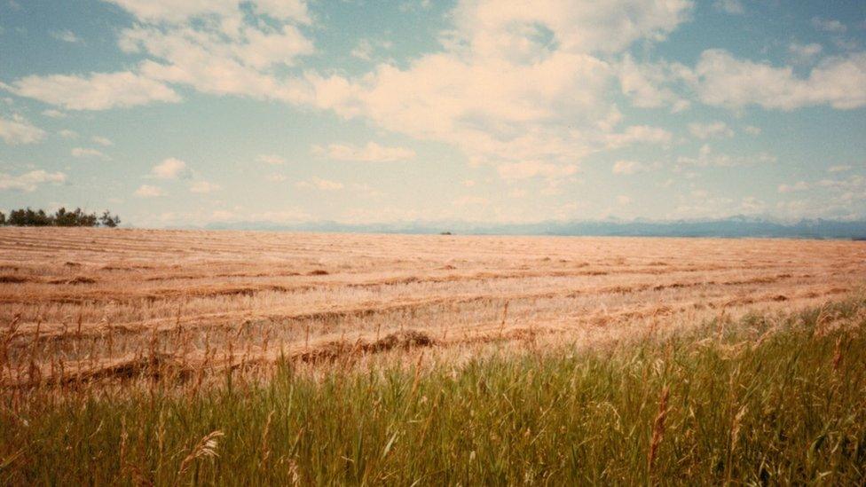 Paith Alberta, Rockies yn y pellter