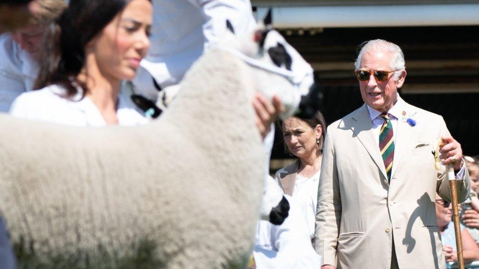 Great Yorkshire Show