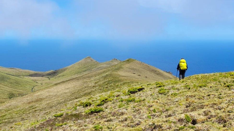 A woman walks along the cliffs in Gough island