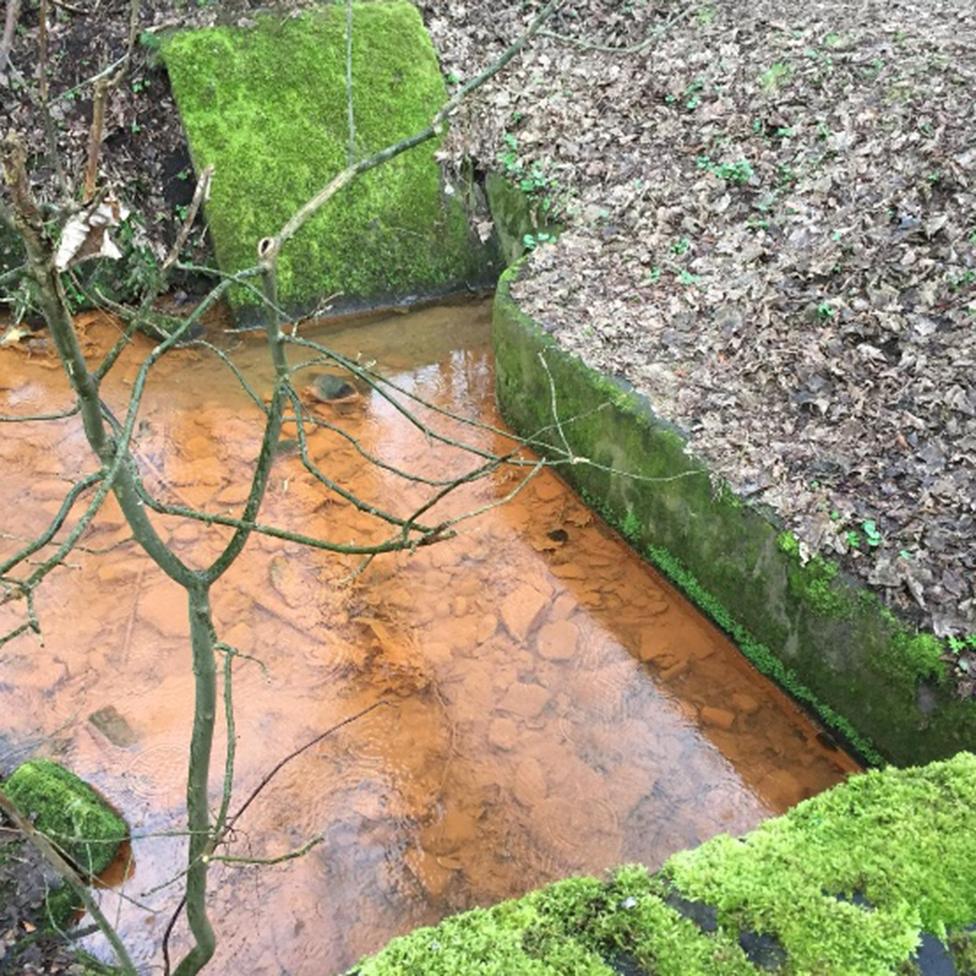 Ditch near the school