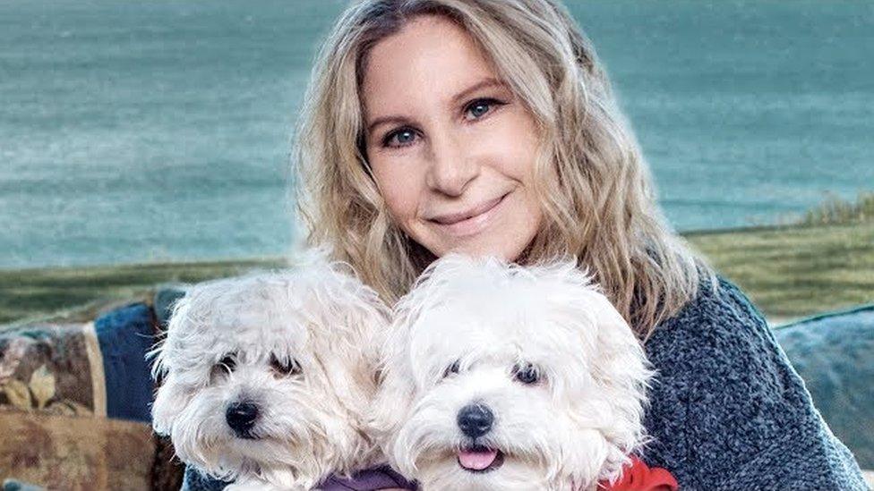 Barbra Streisand