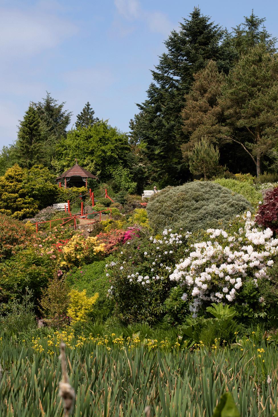 Glenwhan Gardens