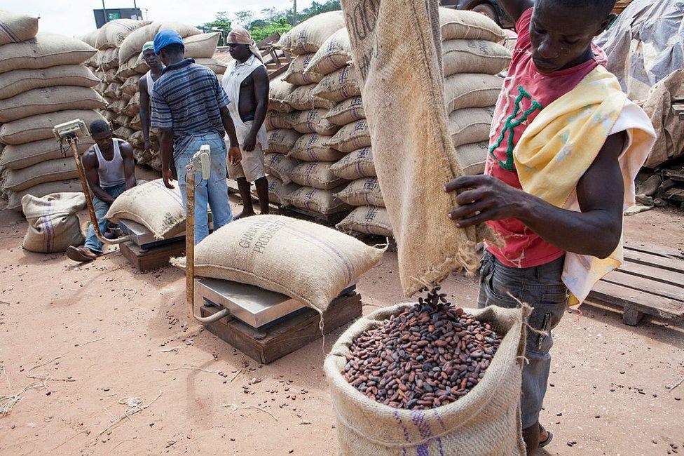 Cocoa farmers