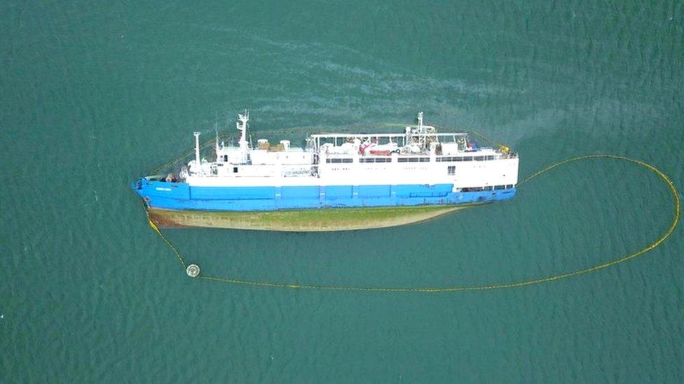 A cargo ship carrying sheep that capsized off the coast of Romania