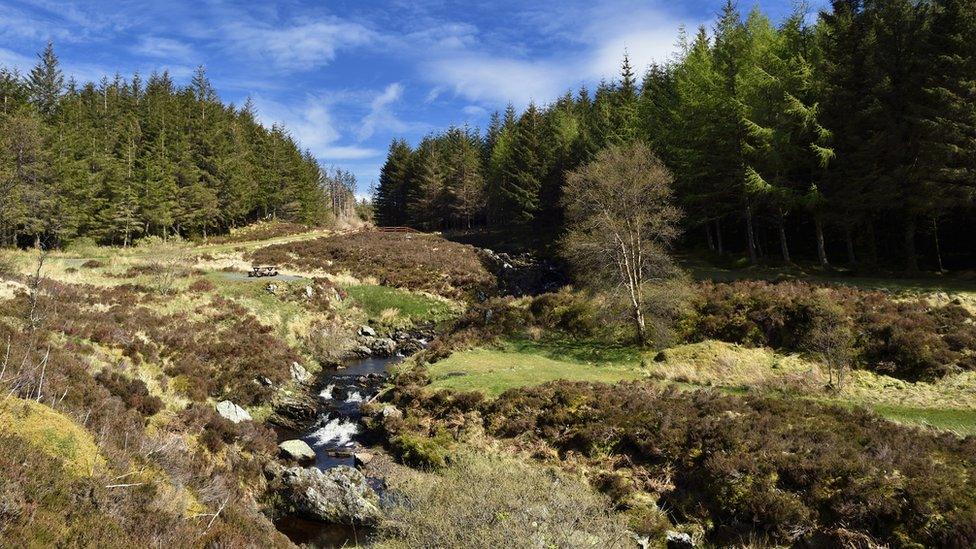 Galloway Forest Park