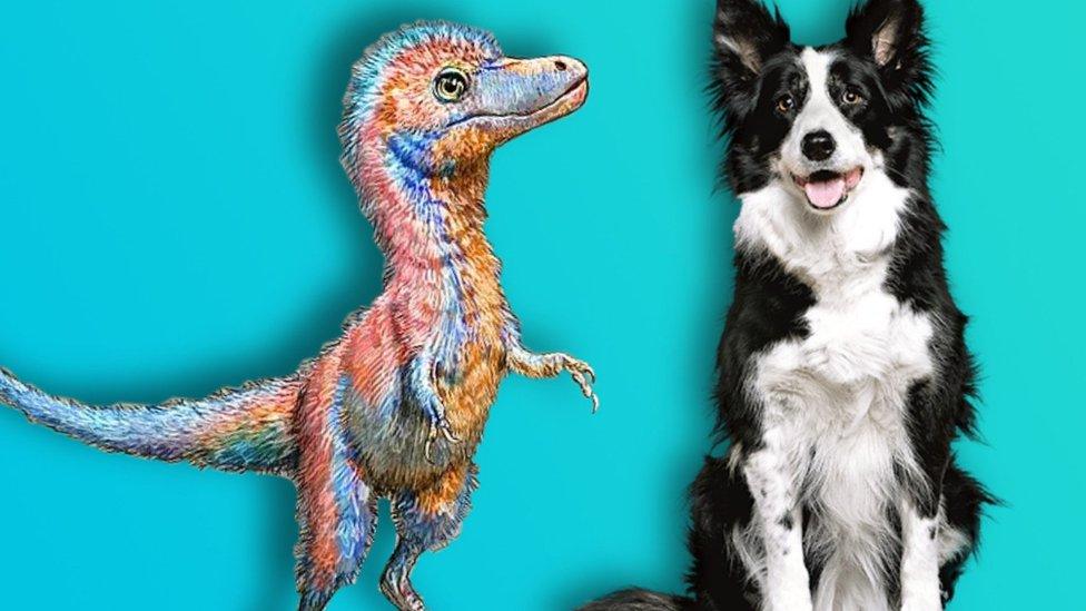 Dinosaur-and-dog.