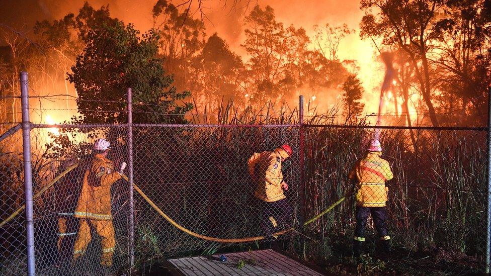 Firefighters in Sydney