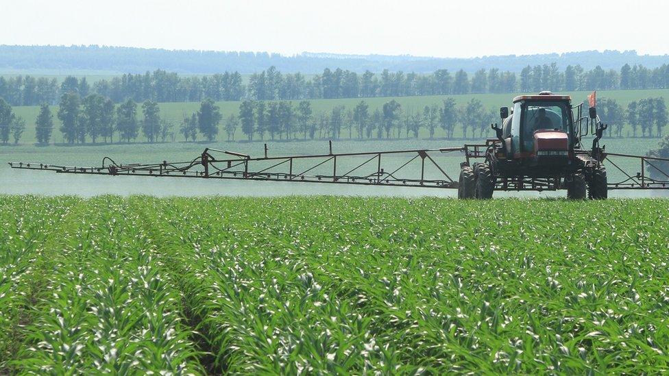 Tractor working on a field