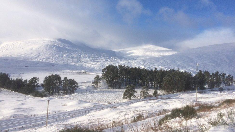 James Torrens Dalnaspidal, Highlands, just off the A9