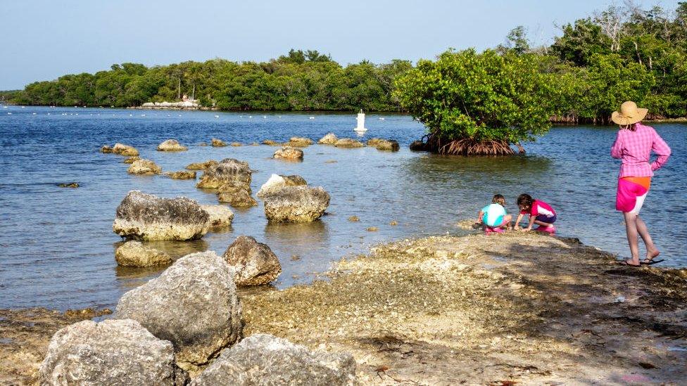 John Pennekamp Coral Reef State Park in Florida