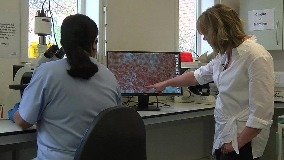 two doctors looking at a screen