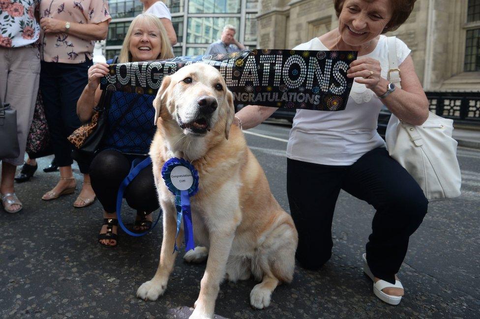 Cliff fans outside court