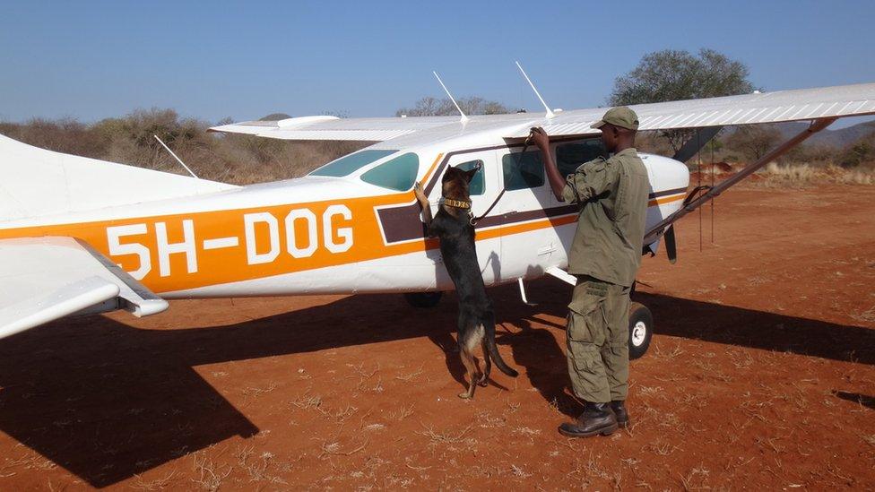 Bo with dog with a warden and a plane