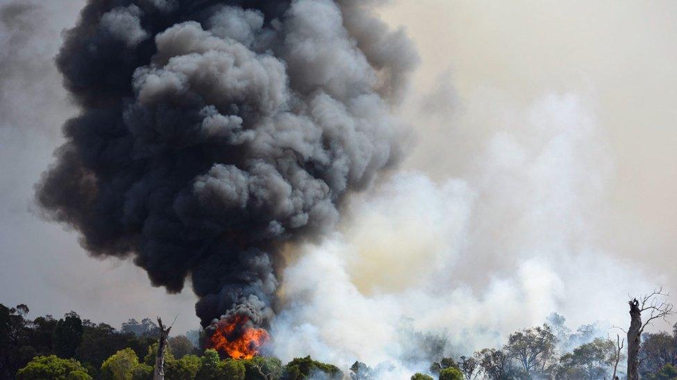 A bushfire near Waroona in Western Australia (08 January 2016)