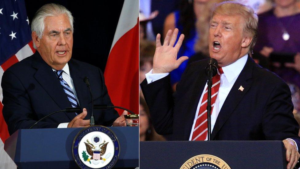 US President Donald Trump and Secretary of State Rex Tillerson