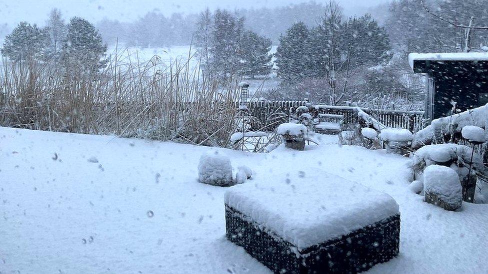 Snow at Boat of Garten