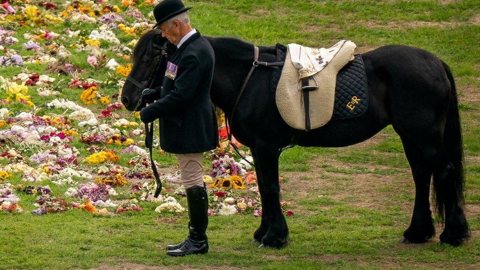 Emma, the Queen's fell pony