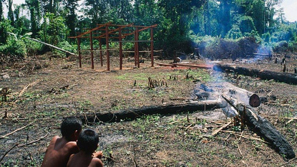 children-sitting-on-the-land-and-watching-land-being-cleared.