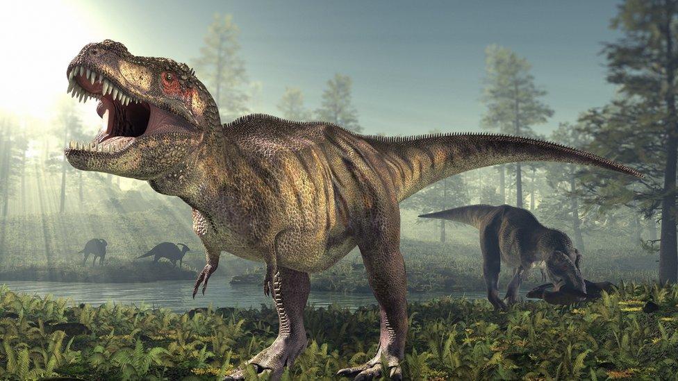 An artist impression of a T Rex