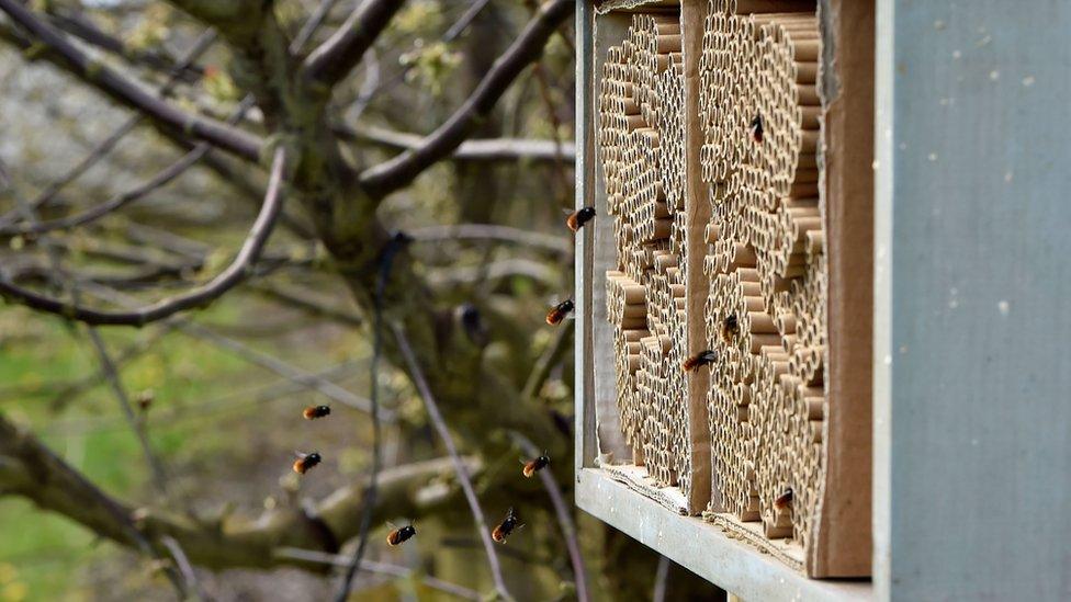 Bee hotel