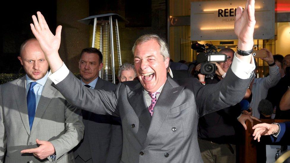 Nigel Farage celebrating