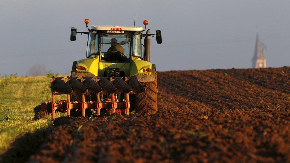 A French farmer drives a tractor as he ploughs a field