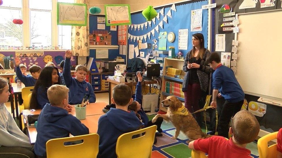 Dog in classroom at Crown Primary