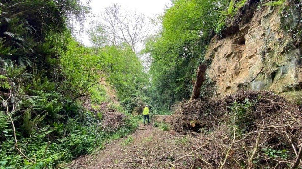 Chinnock Hollow following the landslide in 2021