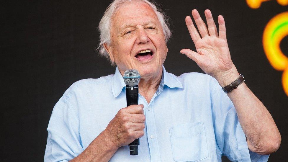 David Attenborough