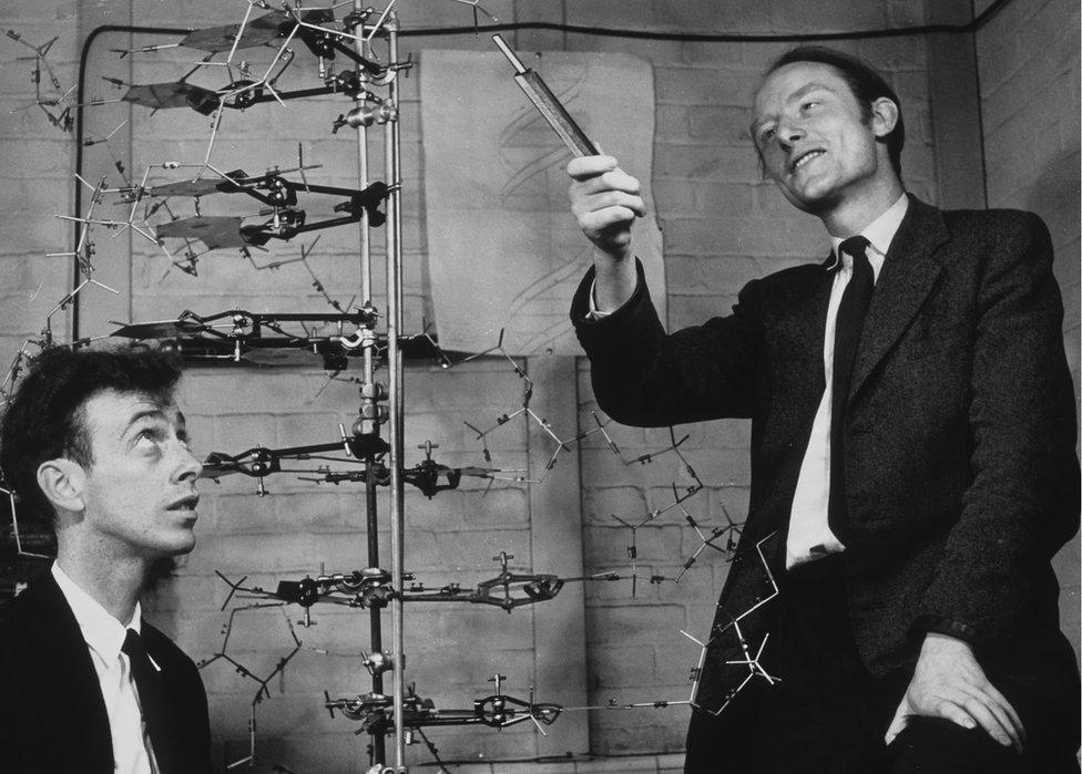 James Watson (l) and Francis Crick (r)