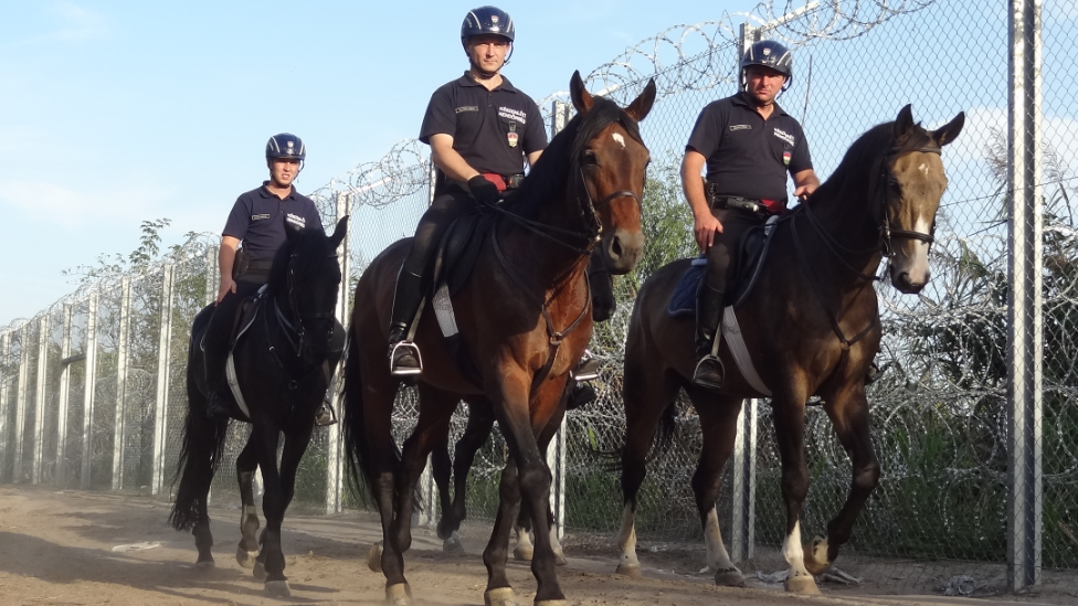 Hungarian mounted police