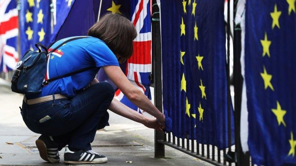 Flags in Westminster