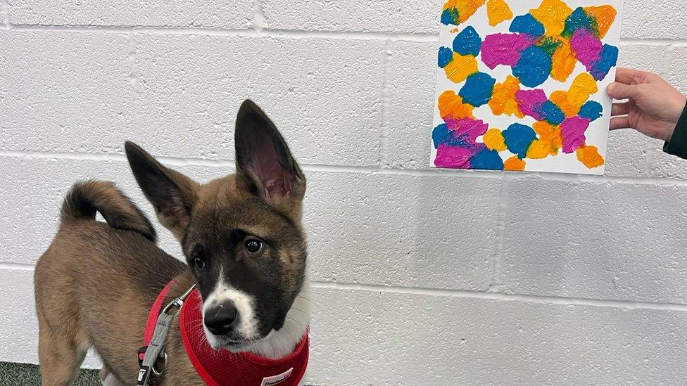 Dog with his painting