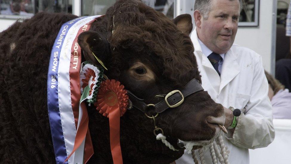 Nottinghamshire County Show