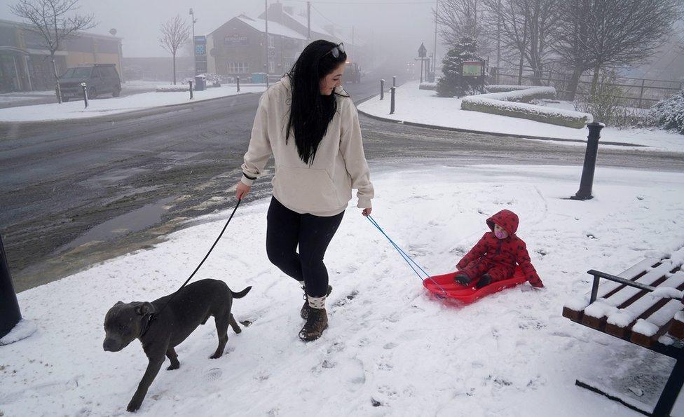 A woman takes her dog for a walk and pulls a child on a sledge in the snow